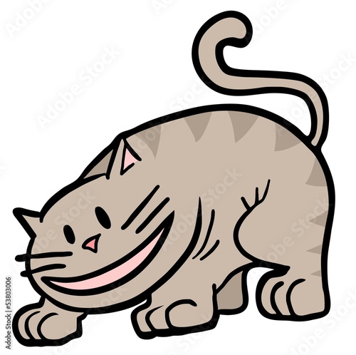 Smile cat