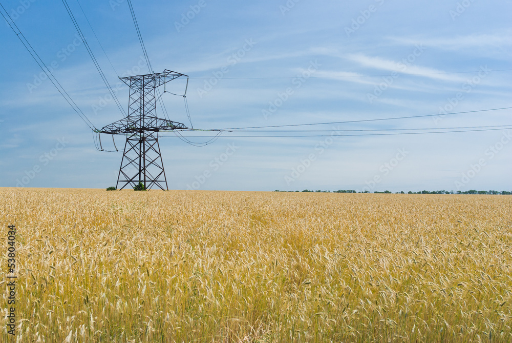Angle strain transmission tower in wheat field in Ukraine. Angle strain transmission tower in wheat field in Ukraine.