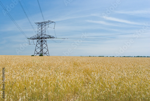 Angle strain transmission tower in wheat field in Ukraine. © Yuri Kravchenko