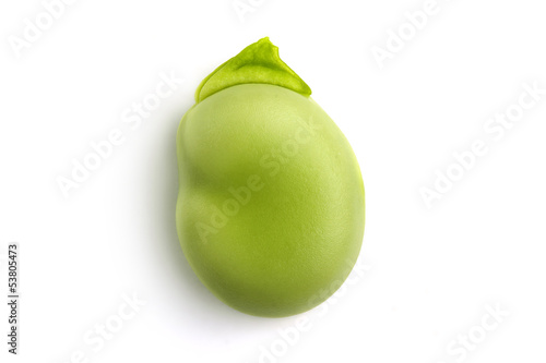 green broad bean
