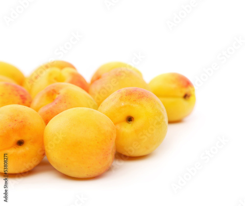 lot of fresh apricots