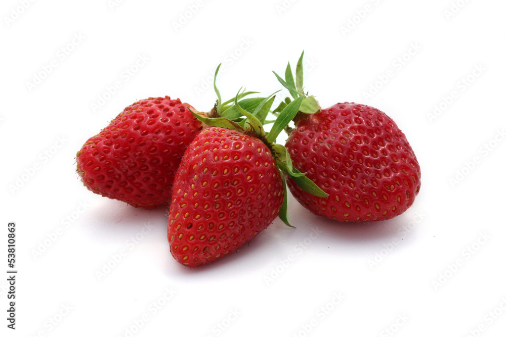 fraises fraises