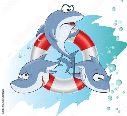 Shark band