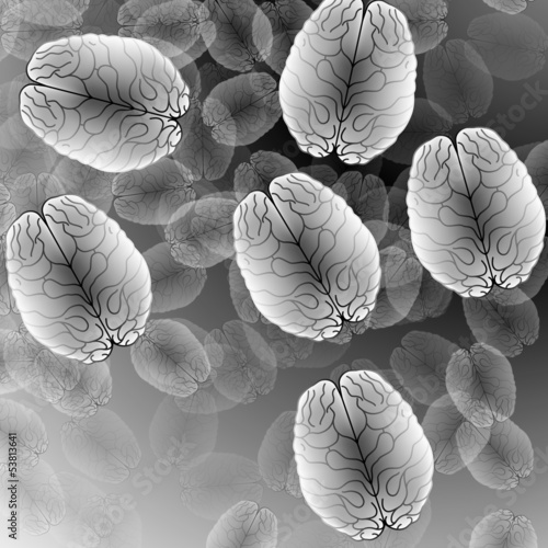 the human brain and gray abstract background