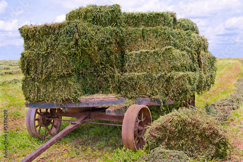 Hay Wagon