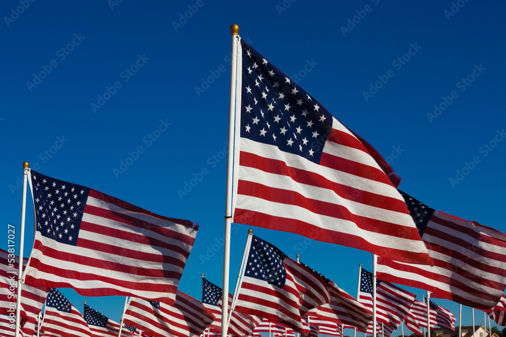 A dispaly of American flags with a sky background
