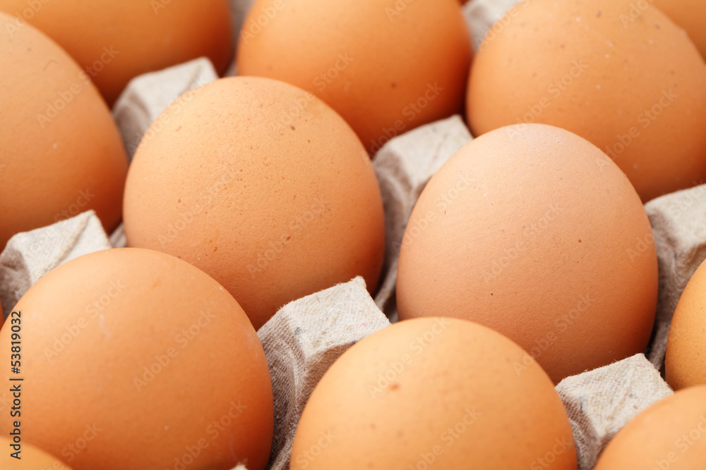 Farm egg close up Farm egg close up