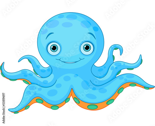 Photography Cute Octopus