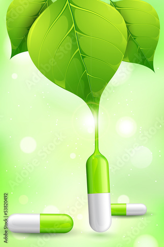 Herbal Medicine