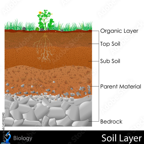 Layer of Soil