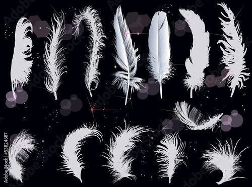 grey feathers collection on dark background