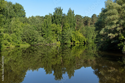 Summer landscape with trees reflecting in a lake
