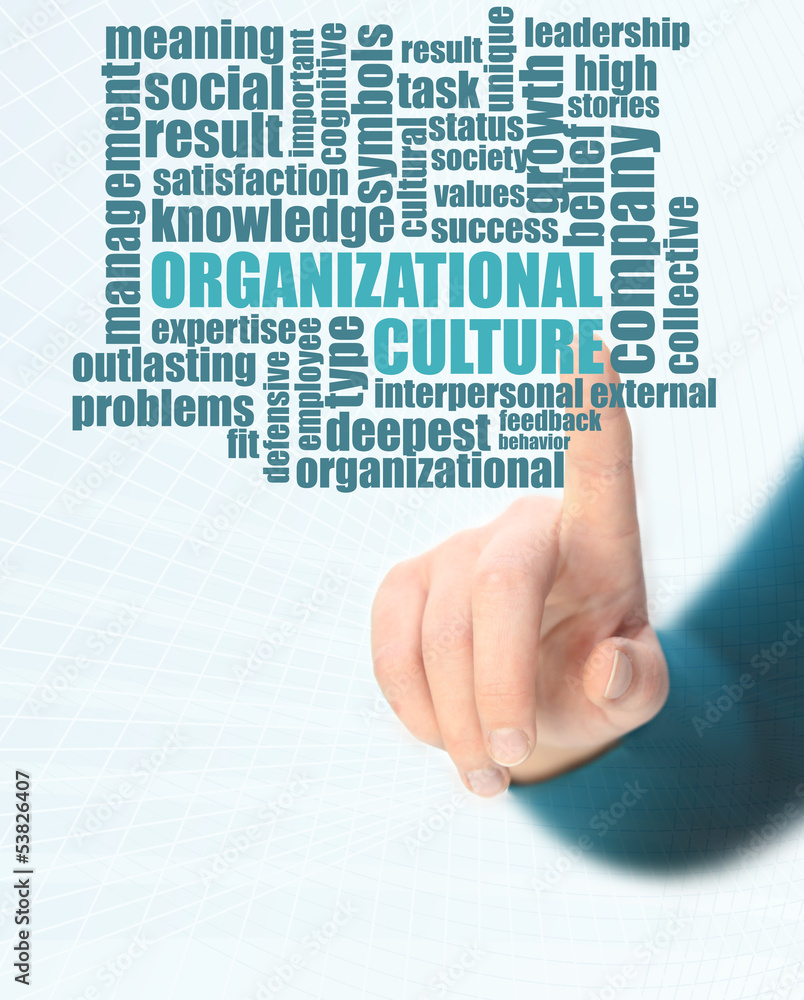 organizational culture organizational culture