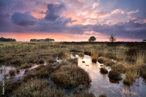 warm calm sunset over swamps in Drenthe photo