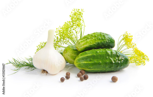 Preparation of cucumbers and greenery is to canning