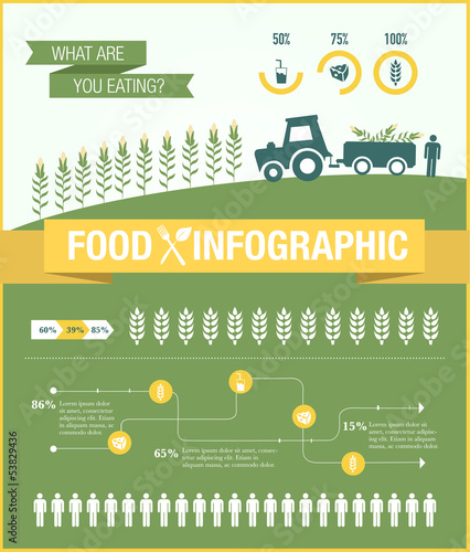 Food Infographic elements design vector