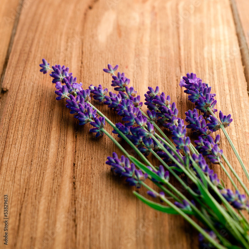 lavender flower on the wooden background