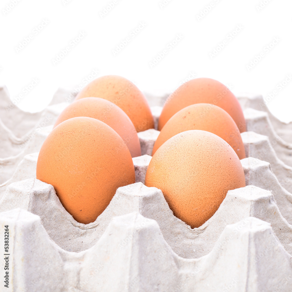 Chicken brown egg closeup view background