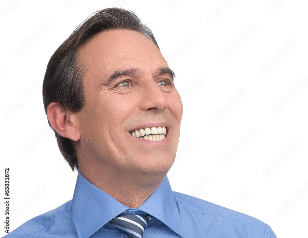 Happy businessman. Portrait of handsome mature businessman smili Happy businessman. Portrait of handsome mature businessman smili