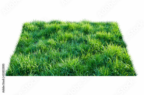 Cuadro en lienzo grass