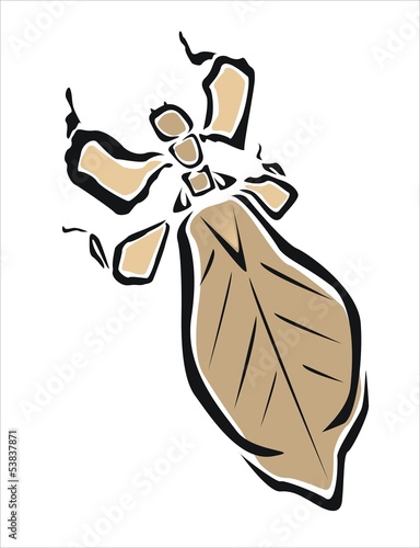insecto hoja