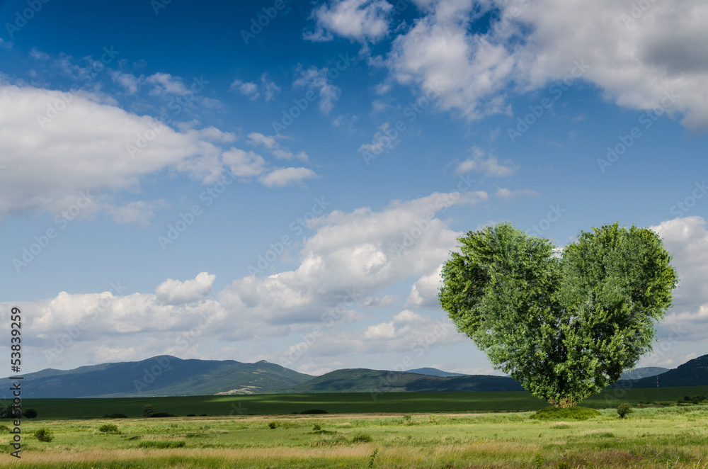 Naklejka premium green field background