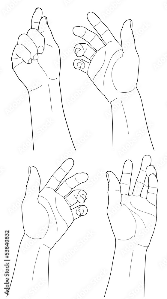 adult man hand to hold something, isolated on white adult man hand to hold something, isolated on white
