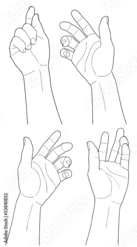 adult man hand to hold something, isolated on white