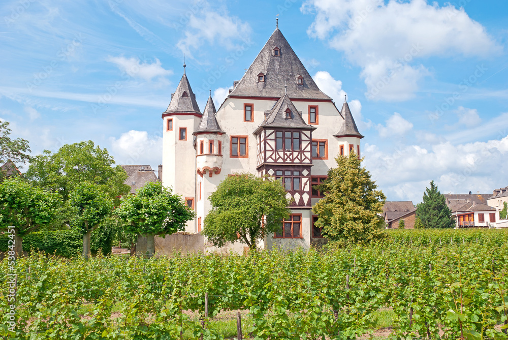 Weingut Schloss Schönborn in Geisenheim am Rhein Weingut Schloss Schönborn in Geisenheim am Rhein