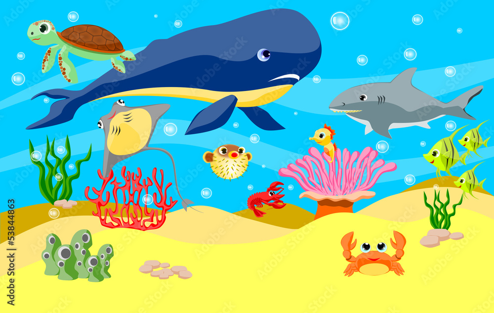Under the sea Under the sea