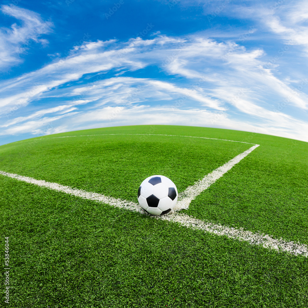 Fototapeta premium soccer ball on green grass field