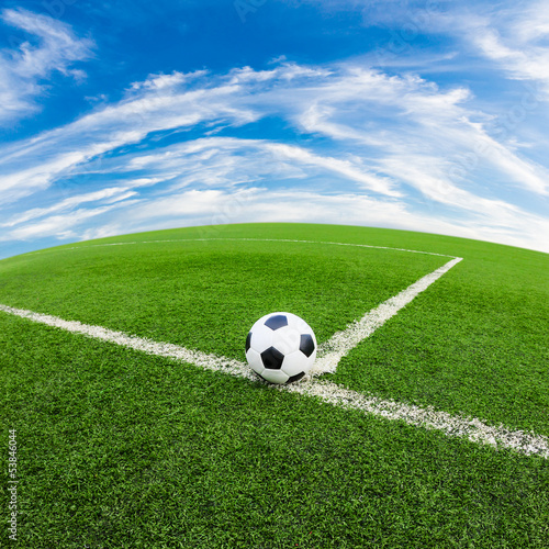 soccer ball on green grass field © tungphoto