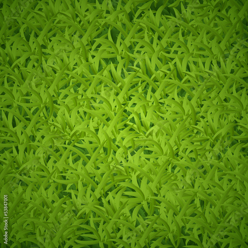 grass-texture