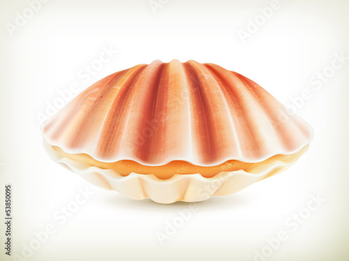 Vászonkép Seashell