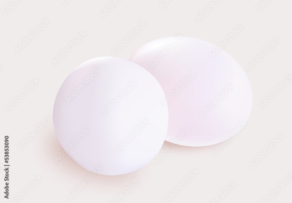 White eggs White eggs