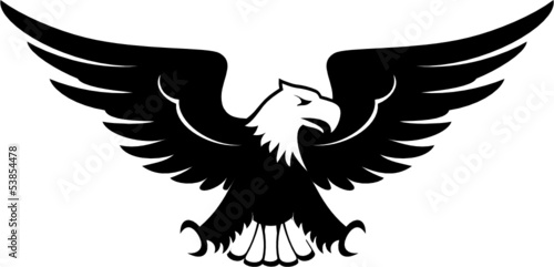 eagle front view vector