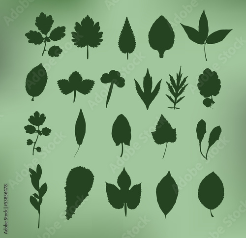collection background vector