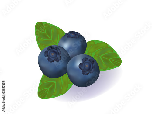 blueberry