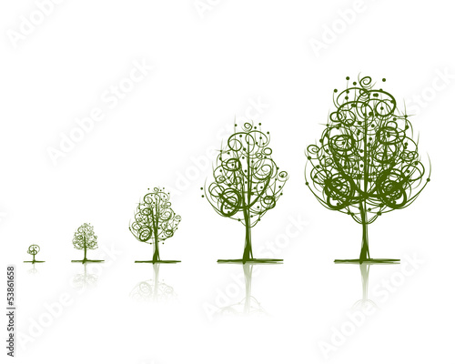 Stages of growing tree for your design
