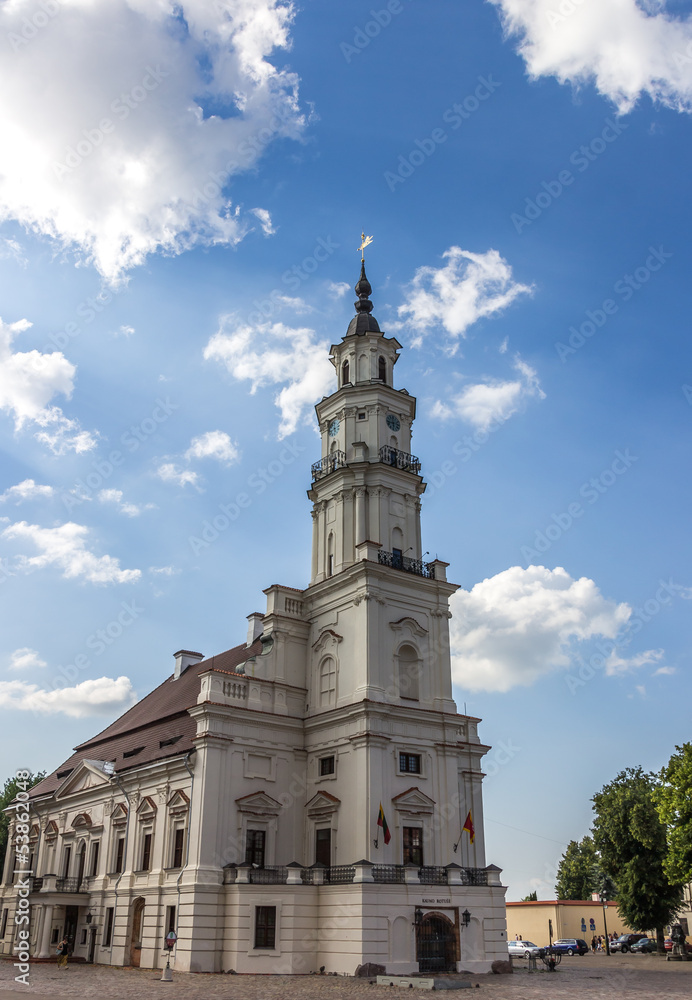 Kaunas palace of weddings