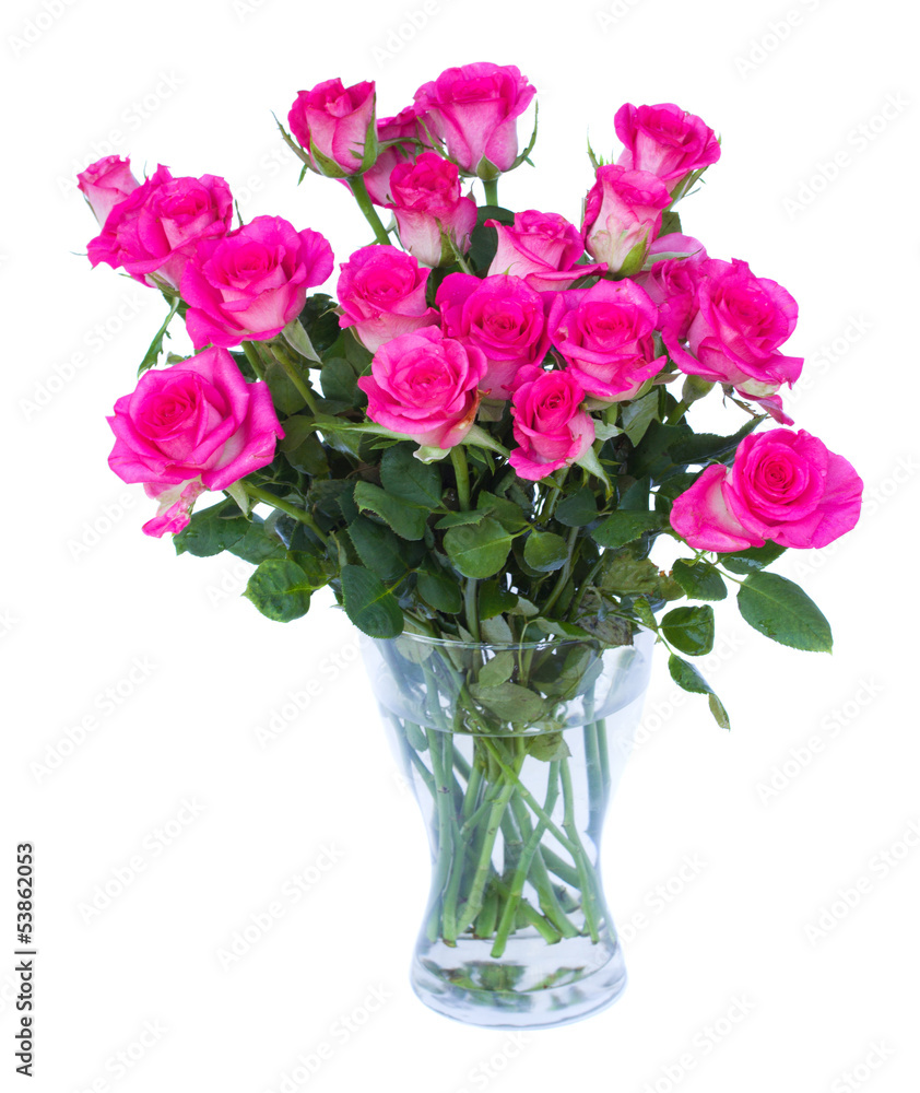 pink roses in vase pink roses in vase