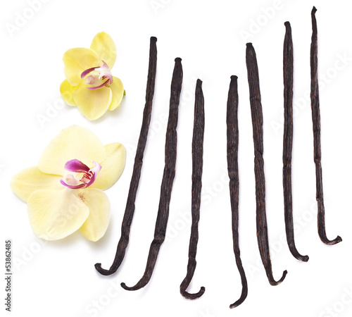 Fototapeta Naklejka Na Ścianę i Meble -  Vanilla sticks with a flower.