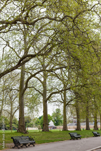 Hyde Park, Londra © Pixelshop