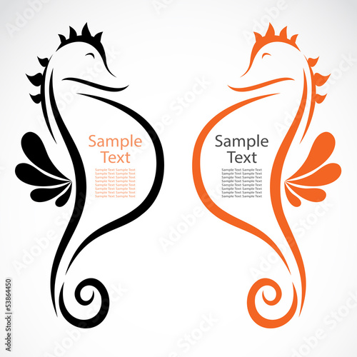 The design of the seahorse on white background