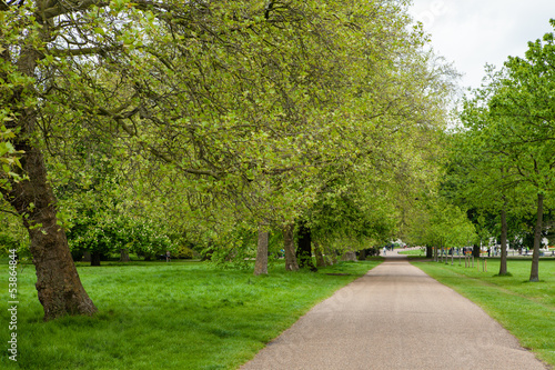 Fototapeta Naklejka Na Ścianę i Meble -  Sentiero tra gli alberi, Hyde Park, Londra