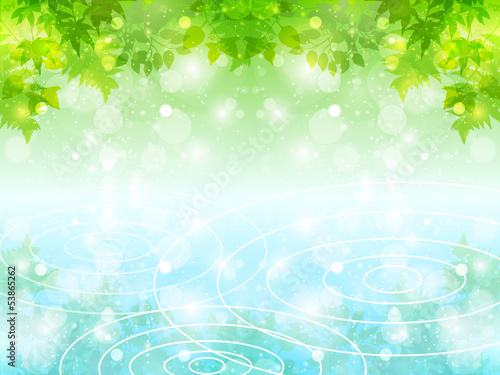 葉　背景　水　夏