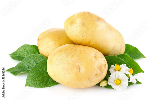 potatoes with leaves and flower
