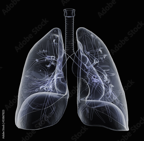X-Ray of human Lungs