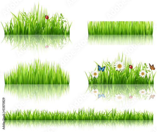 Green grass collection