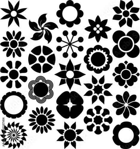 Fototapeta Naklejka Na Ścianę i Meble -  Set of vectorized Flowers